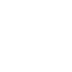 LOGO-FVS-FILIPE-VIEIRA-SANTOS--12-2023W